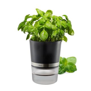18920 VASO PARA ERVAS BOTANICO GEFU